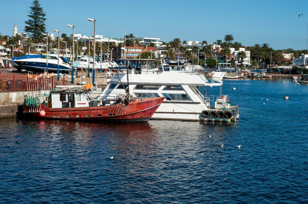 Luxury yachts anchored at the marina in Punta del Este