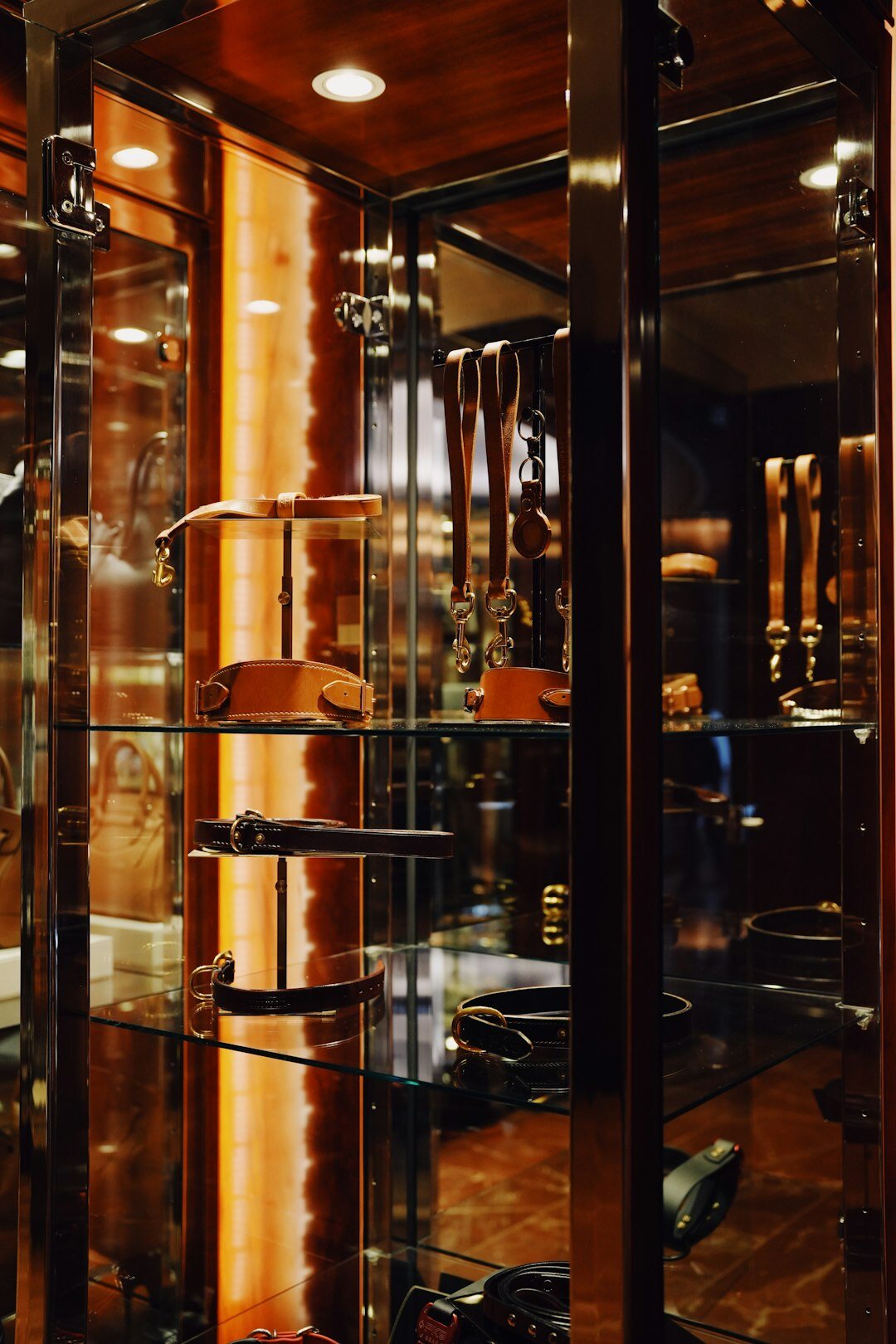 Luxury optical eyewear frames on a boutique display